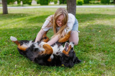 Genç bir kadın parkta mutlu bir Bernese Dağ Köpeği ile oynuyor. Güneşli bir günde gülümsüyor ve keyifli bir anın tadını çıkarıyor..