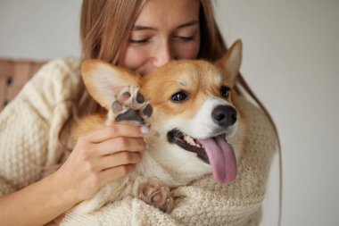 Gülümseyen kadın mutlu Corgi köpeğine sarılıyor, pençesini tutuyor, kapalı alanda sevgi ve şefkat gösteren yakınlaşma anı..