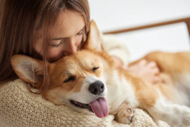 Mutlu Corgi köpeği, kadının kollarında huzur içinde uyuyor sıcak bir kucaklaşma, sevgi, güven ve rahatlama gösteriyor..