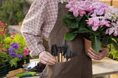 Bahçıvan elinde çiçeklerle, önlüğünün cebinde aletlerle bahar işlerinde bahçede dikiliyor..