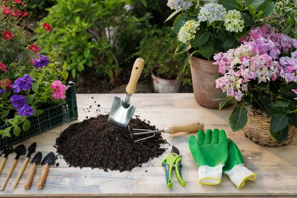 Bahçe aletleri, toprak yığını ve çiçek açan çiçekler canlı bir bahçede ahşap bir masa üzerinde düzenlenmiştir..