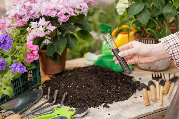 Bahçıvan test tüpünde toprak örneği tutuyor bahçe aletleri, çiçekler ve taze toprak ekime hazır..