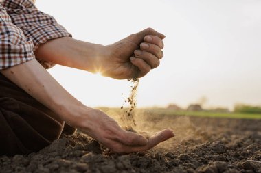 Çiftçilerin elleri, gün doğumunda kuru toprak kalitesini kontrol ederek tarım ve çevre bakımını sembolize ediyor.