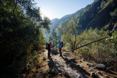 Nepal Himalayalar 'da orman yolunda yürüyüş yapan gezginler macera yolculuğunun ve güneşin doğuşunun tadını çıkarıyorlar.