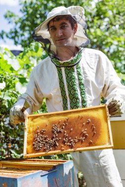 Geleneksel kıyafetli bir adam arıyı denetliyor. Yazın bal hasadı sırasında bal peteği çerçevesini kaplamış. Kırsal alanda arıcılık yapıyormuş.