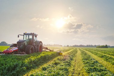 Taze hayvan yemi için yeşil alanda yonca biçen traktör sürdürülebilir tarım ve modern çiftlik hayvancılığı gösteriyor.