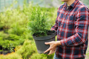 Ekose gömlekli bahçıvan elinde saksıyla çocuk odasında, bahar bitkileri bakımında ve bahçıvanlık konseptinde.