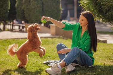 Neşeli kaniş köpeğini eğiten gülümseyen bir kadın. Hayvanlara ve bağ kurma konseptine karşı pozitif bir sevgi besliyor.