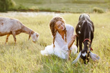 Genç çiftçi keçi yemyeşil çayırda keçi sütü peyniri için ideal organik tarım ve tarım turizmi için.
