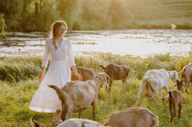 Gülümseyen çoban kızı ile organik keçi çiftliği ve deniz kenarında sürü. Süt peyniri refahı ve tarım hikayeleri için ideal.