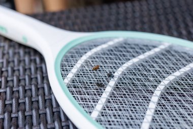 Haşere temizliği ve yaz aylarında ev kullanımı için verandada ölü sineklerle elektrikli böcek zapper raketinin yakın görüntüsü