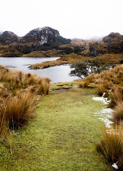 Pionowe Zdjęcie Krajobrazu Parku Narodowego Cajas Górach Ekwadoru — Zdjęcie stockowe