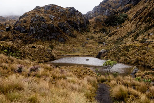 Yağmurlu Bulutlu Bir Günde Ekvador Dağları Ndaki Cajas Ulusal Parkı — Stok fotoğraf