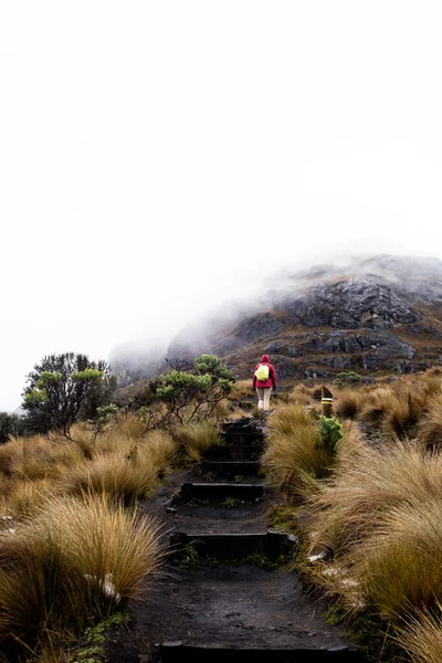 Una Excursionista Caminando Arriba Las Montañas Parque Nacional Cajas Las —  Fotos de Stock
