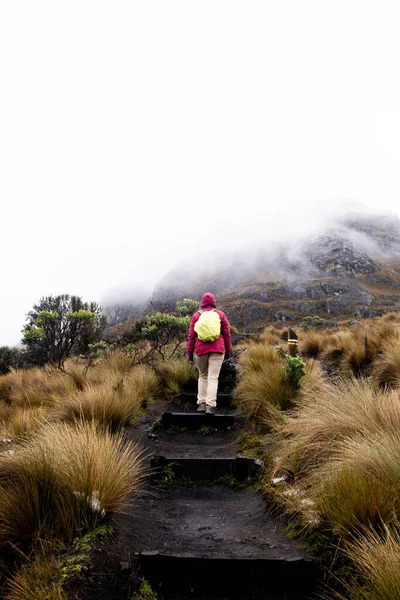 stock image A female hiker walking on slippery stairs in the mountains of the Cajas National Park in the Andean highlands of Ecuador in a rainy and cloudy day