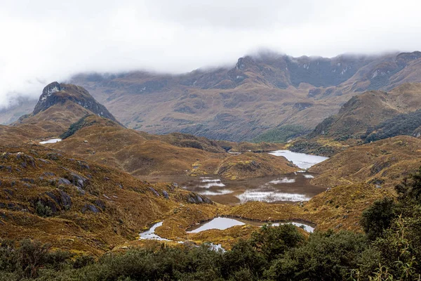 Horizontální Fotografie Oblačné Krajiny Národního Parku Cajas Andské Vrchovině Ekvádor — Stock fotografie