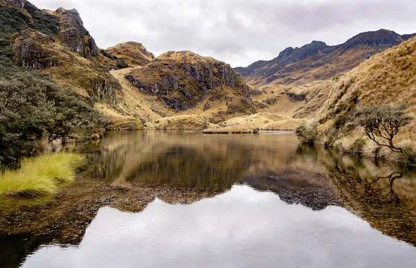 Montañas Plantas Reflexionan Sobre Lago Parque Nacional Cajas Las Tierras —  Fotos de Stock