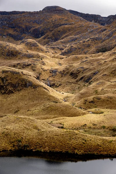 Dağları Dağları Tropikal Dağları Ndaki Cajas Ulusal Parkı Nda Bir — Stok fotoğraf