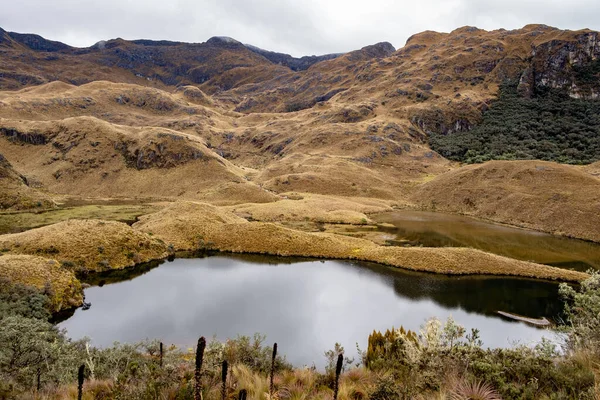 Ekvador Dağları Tropikal Dağları Ndaki Cajas Ulusal Parkı Nda Buzul — Stok fotoğraf