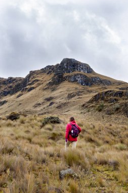 Ekvador, Cuenca, tropikal And Dağları 'ndaki Cajas Ulusal Parkı' nda yürüyen bir kadın yürüyüşçünün tüm vücudunun dikey fotoğrafı..