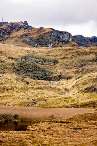 Ekvador Cuenca Tropikal Dağları Ndaki Cajas Ulusal Parkı Nda Bir — Stok fotoğraf