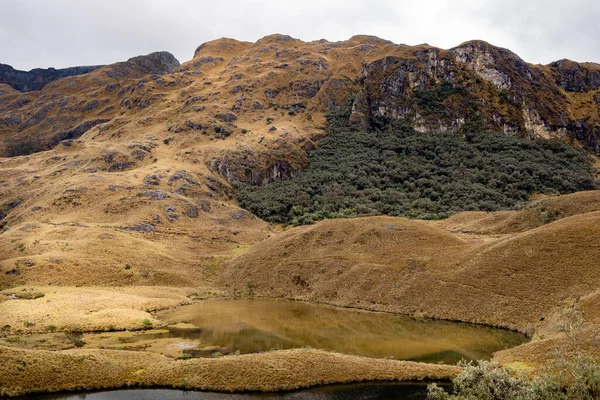 Veduta Panoramica Una Laguna Ghiacciata Nel Parco Nazionale Cajas Negli — Foto Stock