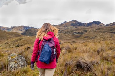 Sırt çantalı bir kadın yürüyüşçü Azuay 'ın Cuenca eyaletinin dağlık bölgelerindeki Cajas Ulusal Parkı' nda Andean Paramo 'da yürüyor..