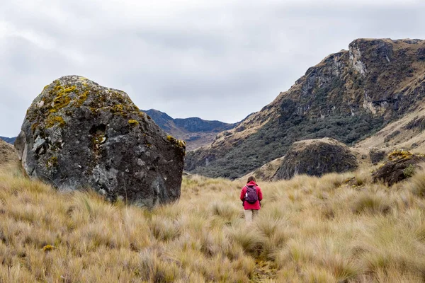 Güney Amerika Nın Tropikal Dağları Ndaki Cajas Ulusal Parkı Nda — Stok fotoğraf