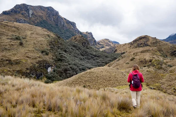 Güney Amerika Nın Tropikal Dağları Ndaki Cajas Ulusal Parkı Nda — Stok fotoğraf