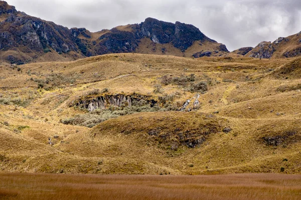 Ekvador Cuenca Tropikal Dağları Ndaki Cajas Ulusal Parkı Nda Saman — Stok fotoğraf