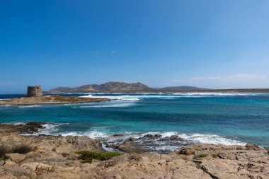 İtalya, Sardunya, Stintino 'daki güzel La Pelosa plajı