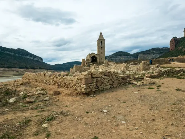 Sau rezervuarındaki bataklık, Katalonya, İspanya