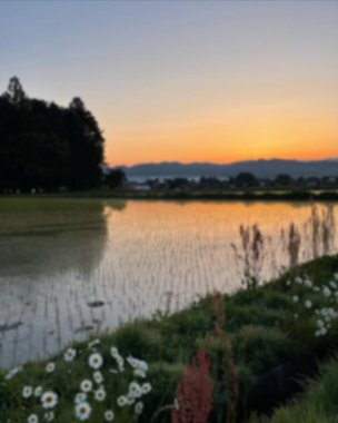 Doğa manzarası ve şehir manzarası bulanık 
