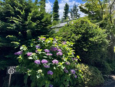 Doğa manzarası ve şehir manzarası bulanık 