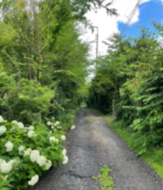 Doğa manzarası ve şehir manzarası bulanık 