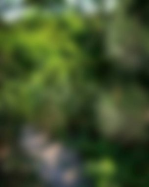 Renklerin bulanık arkaplanı soyut