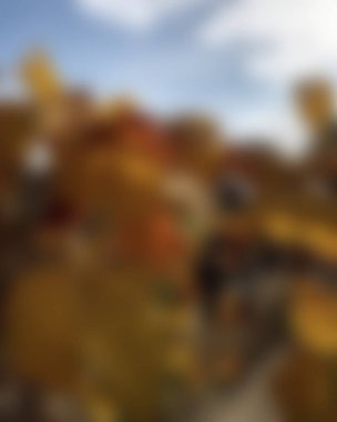 Renklerin bulanık arkaplanı soyut