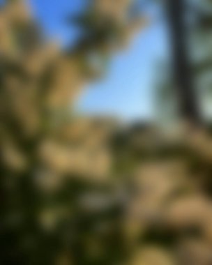 Renklerin bulanık arkaplanı soyut 