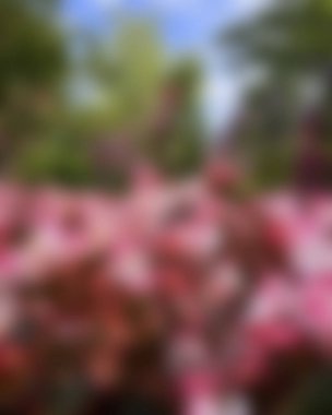 Renklerin bulanık arkaplanı soyut 