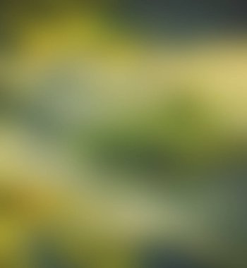 Doğa manzarası ve şehir manzarasının bulanık arkaplanı 