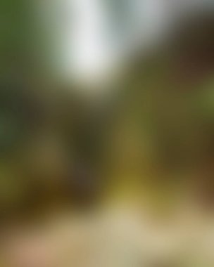 abstract blur background of colors mixed 