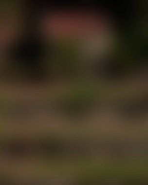 abstract blur background of colors mixed 