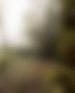 abstract blur background of colors mixed 