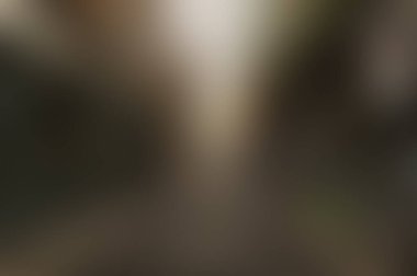 abstract blur background of colors mixed 