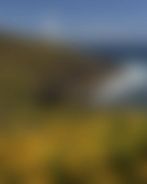 abstract blur background of colors mixed 