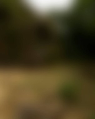 abstract blur background of colors mixed 