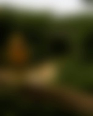 abstract blur background of colors mixed 