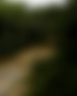 abstract blur background of colors mixed 