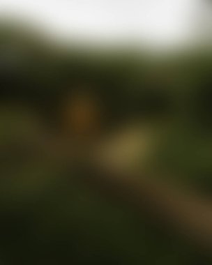 abstract blur background of colors mixed 