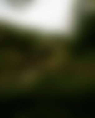 abstract blur background of colors mixed 